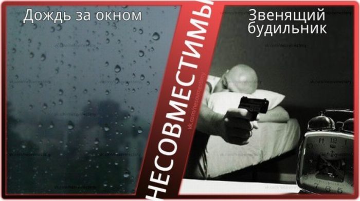 Вещи, которые несовместимы (15 картинок)