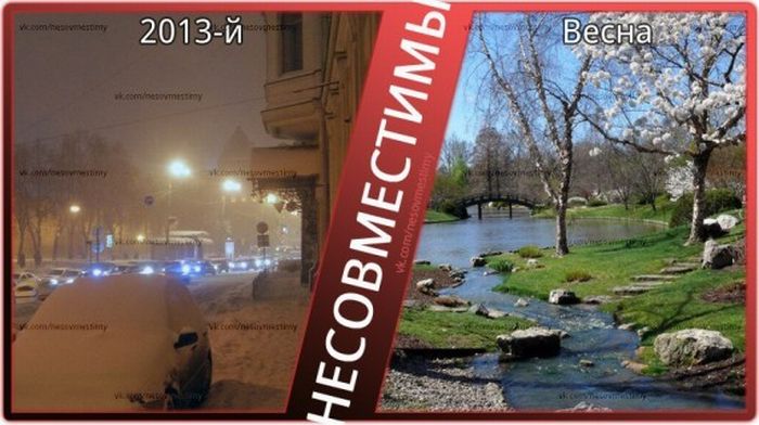 Вещи, которые несовместимы (15 картинок)