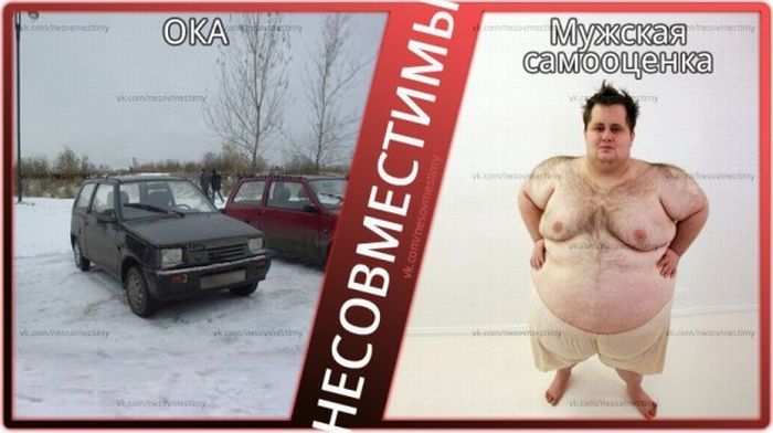 Вещи, которые несовместимы (15 картинок)