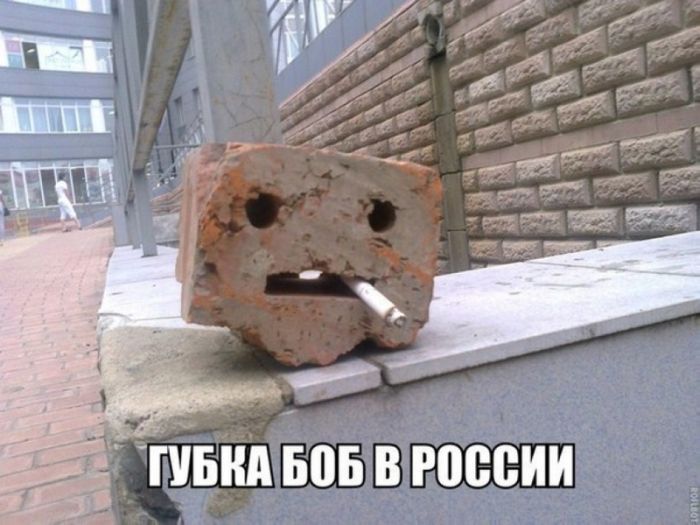 Порция картинок