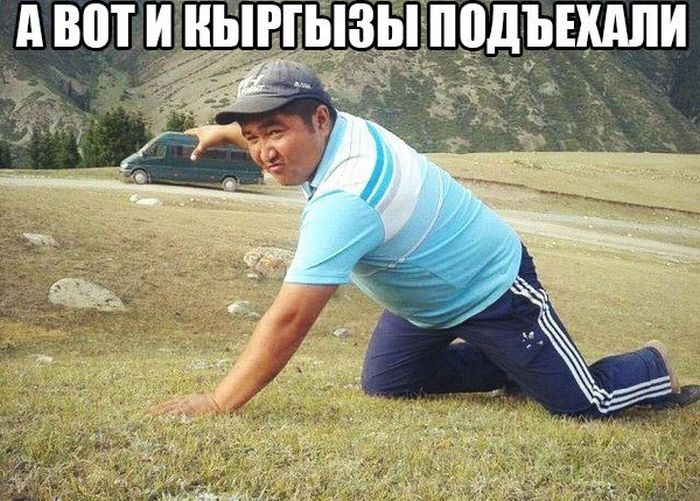 Порция картинок