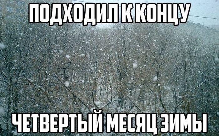 Порция картинок