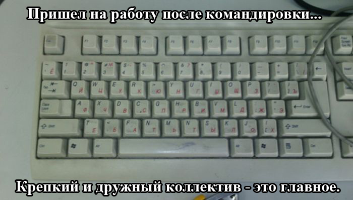 Порция картинок