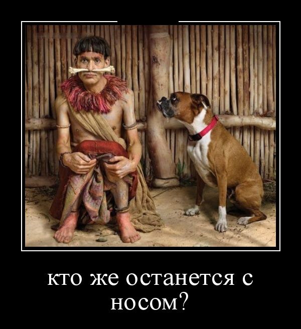 Демотиваторы