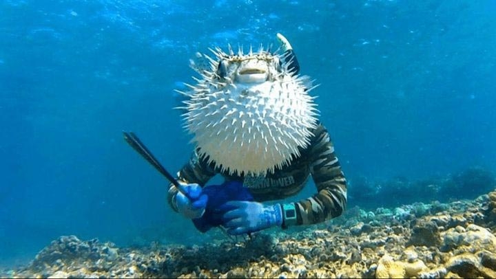 18 уморительных животных, которые умеют фотобомбить как никто другой
