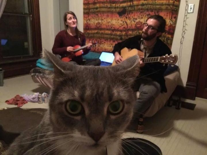 18 уморительных животных, которые умеют фотобомбить как никто другой