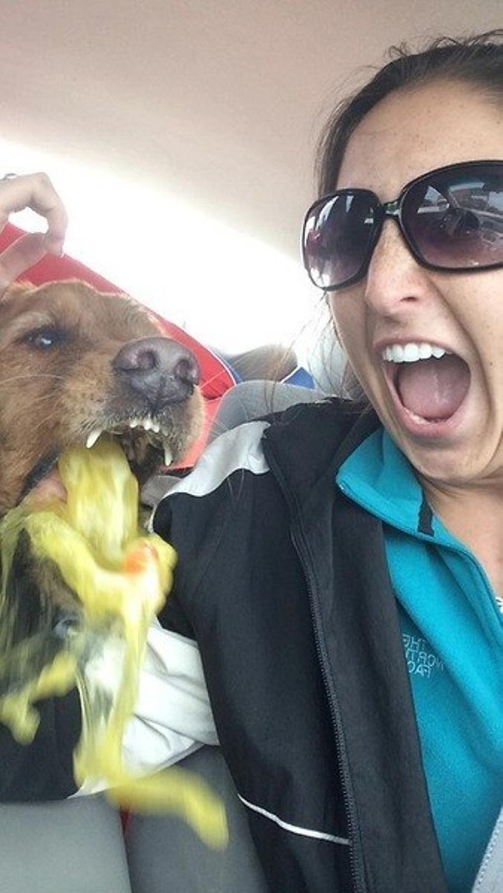 18 уморительных животных, которые умеют фотобомбить как никто другой