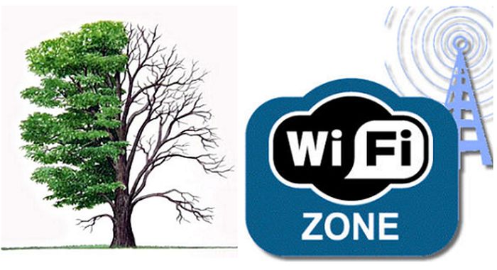 Не влезай - убьет! Или как Wi-Fi «пожирает» нас с вами