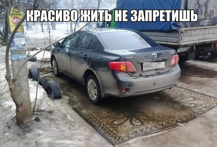 Авто приколы