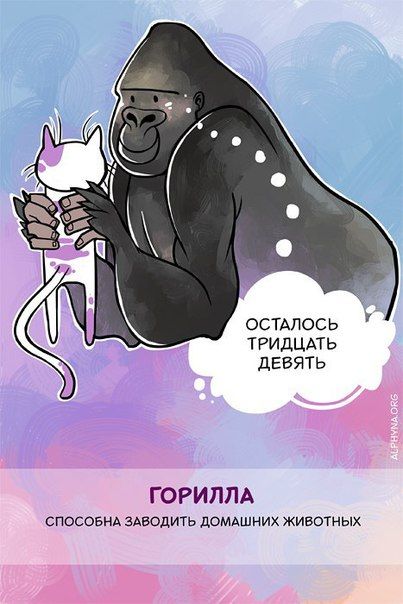 Способности животных, о которых вы не знали