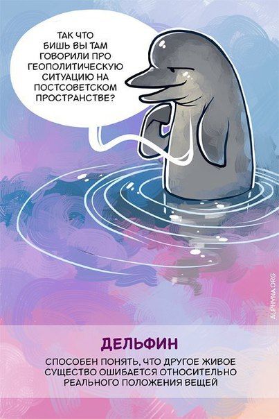 Способности животных, о которых вы не знали