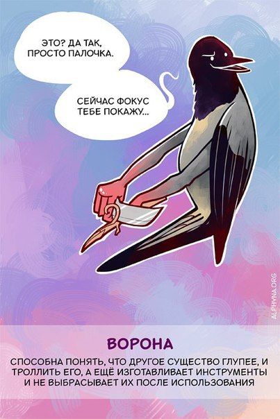 Способности животных, о которых вы не знали