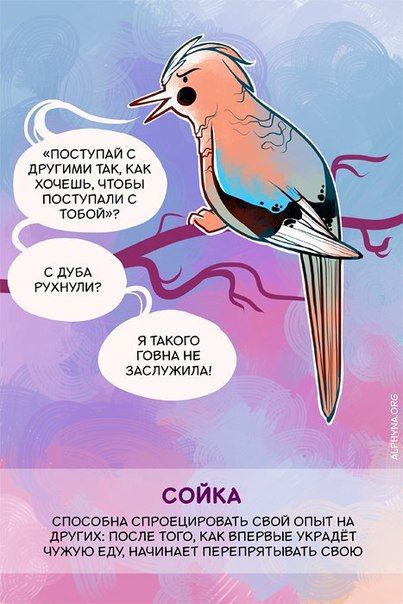 Способности животных, о которых вы не знали