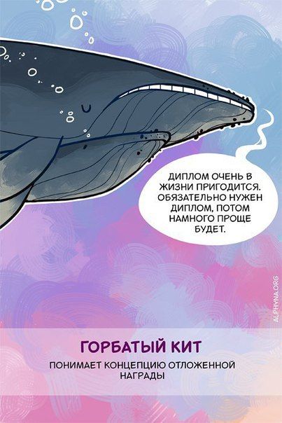 Способности животных, о которых вы не знали