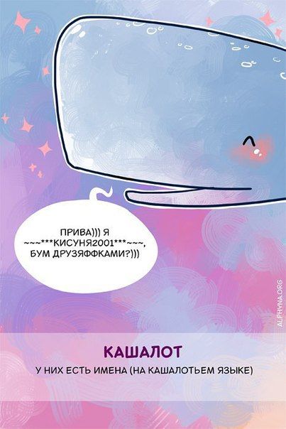 Способности животных, о которых вы не знали