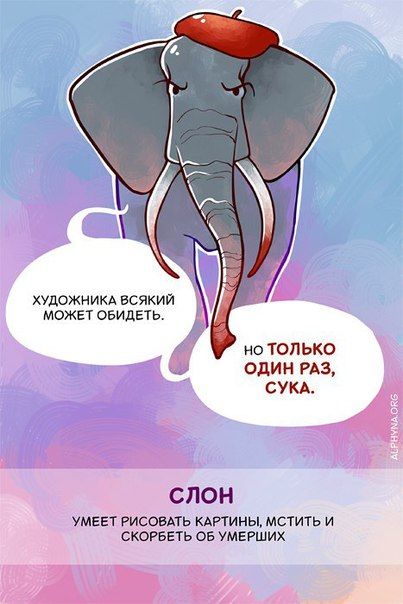 Способности животных, о которых вы не знали