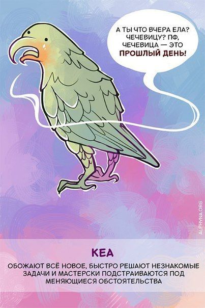 Способности животных, о которых вы не знали