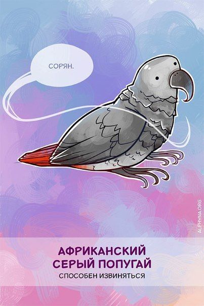 Способности животных, о которых вы не знали