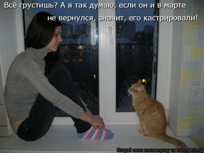 Лучшие котоматрицы недели