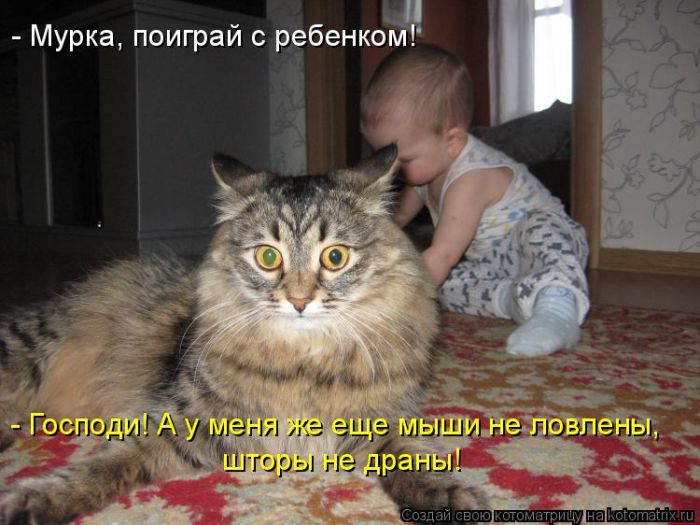 Лучшие котоматрицы недели