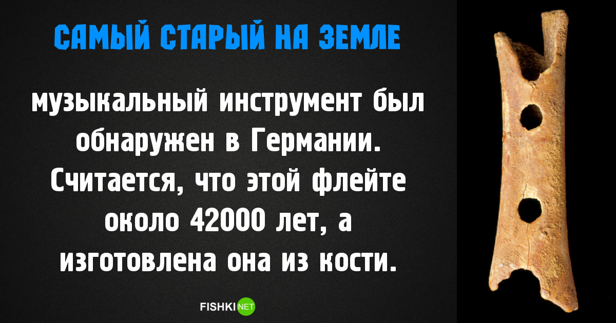 Самое, самое старое на нашей планете