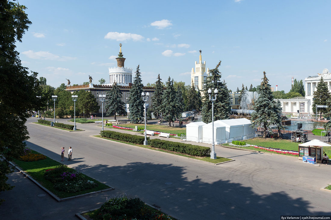 Караул, деревья спилили
