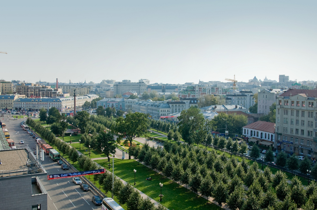 Караул, деревья спилили