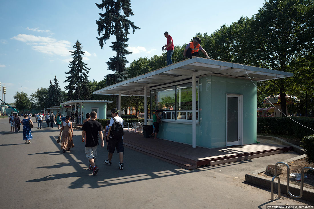 Караул, деревья спилили
