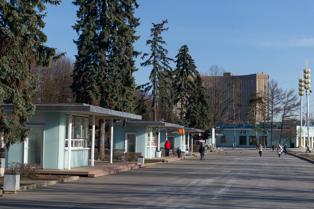 Караул, деревья спилили