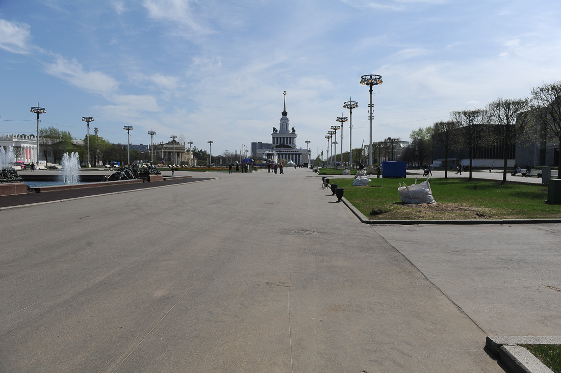 Караул, деревья спилили