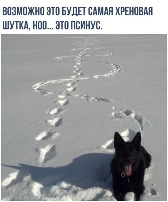 Подборка картинок