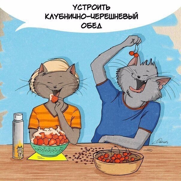 За что мы любим лето