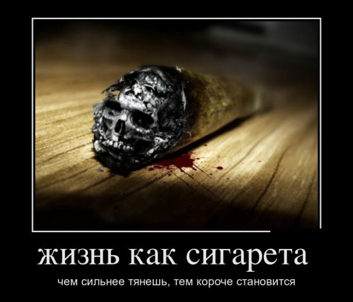 Демотиваторы
