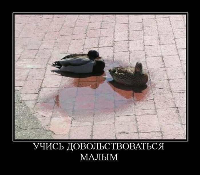 Демотиваторы