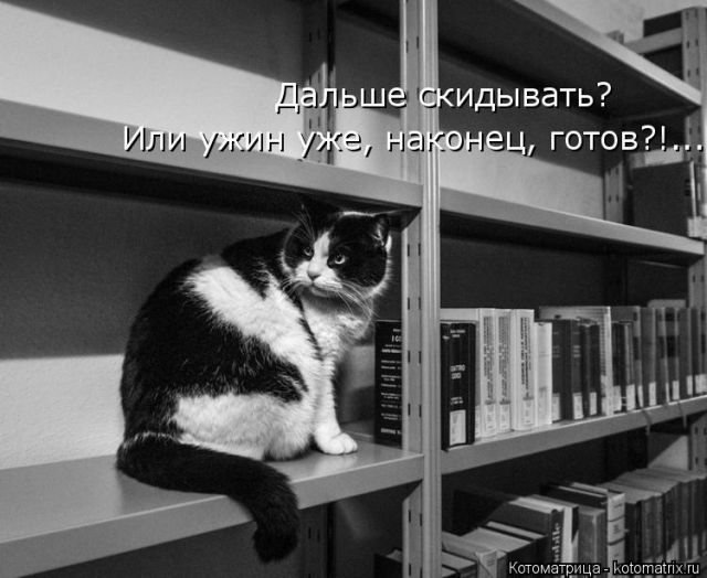 Лучшие котоматрицы недели