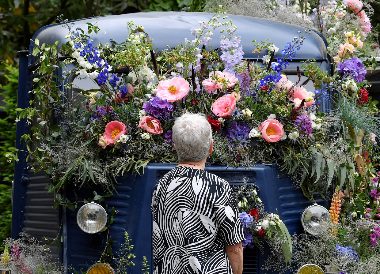 Как прошла крупнейшая европейская цветочная выставка The RHS Chelsea Flower Show 2018