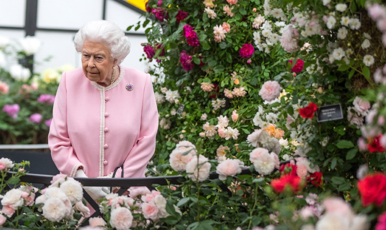 Как прошла крупнейшая европейская цветочная выставка The RHS Chelsea Flower Show 2018