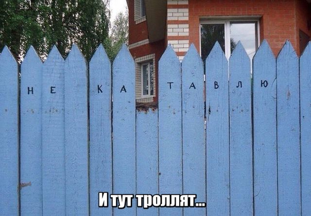 Прикольные картинки