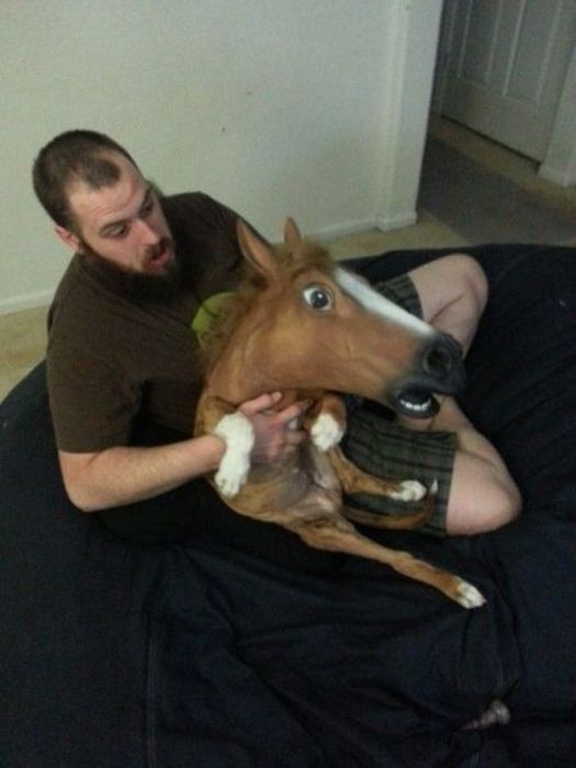 Прикольные картинки