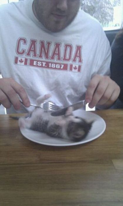 Прикольные картинки