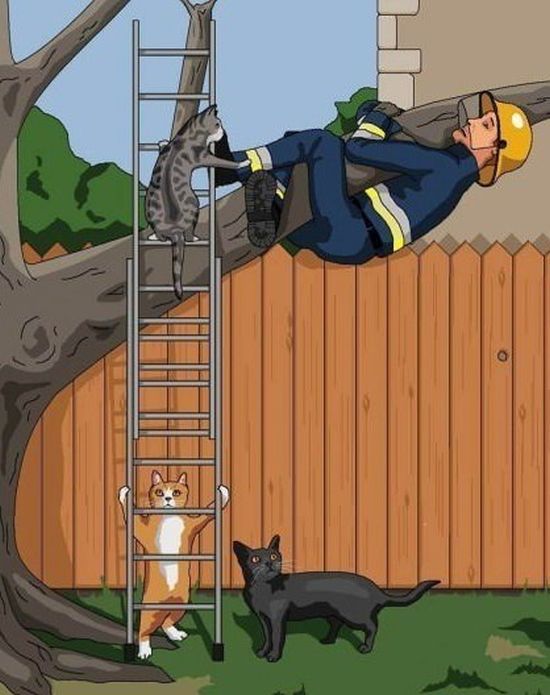 Прикольные картинки