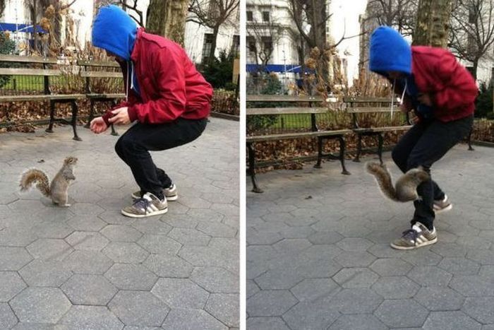 Прикольные картинки