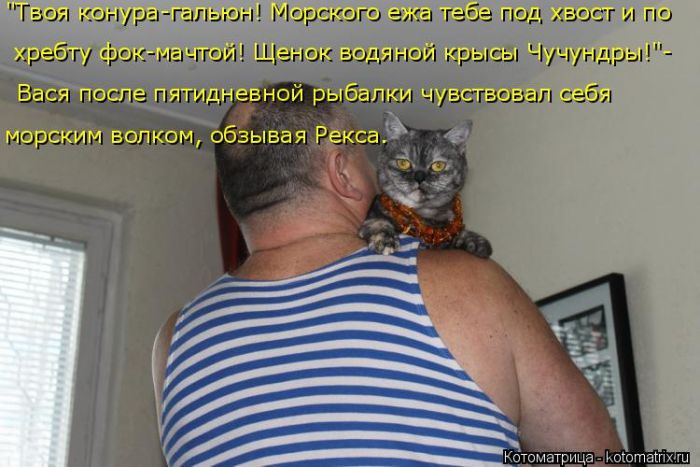 Лучшие котоматрицы недели