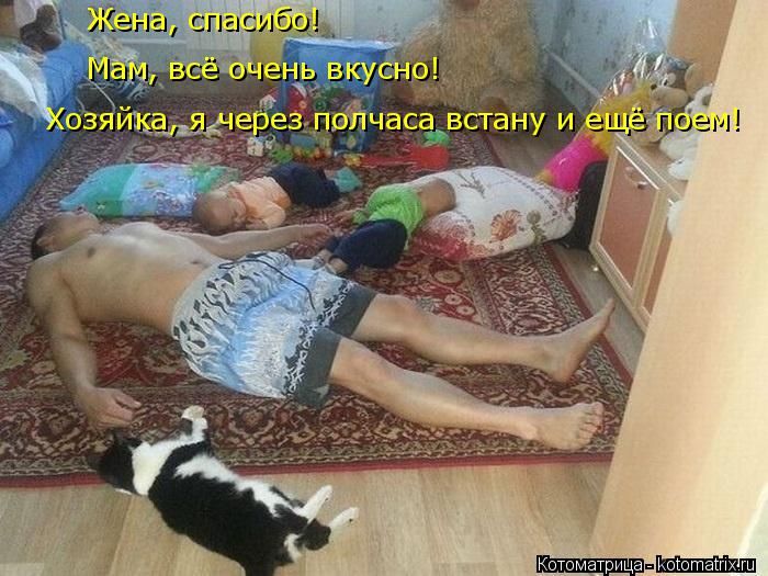 Лучшие котоматрицы недели