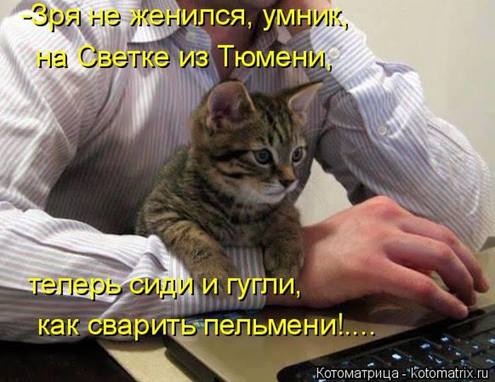 Лучшие котоматрицы недели