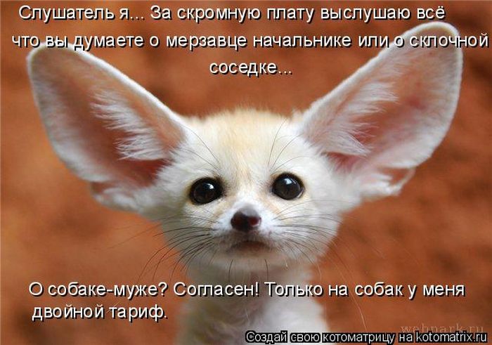 Лучшие котоматрицы недели