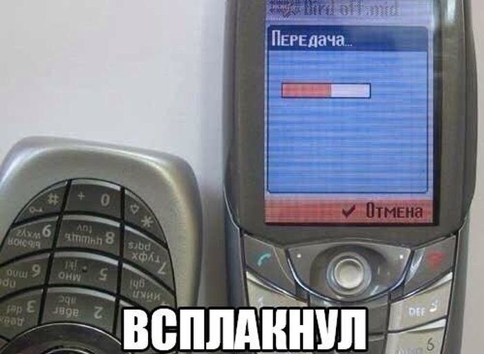 Прикольные картинки