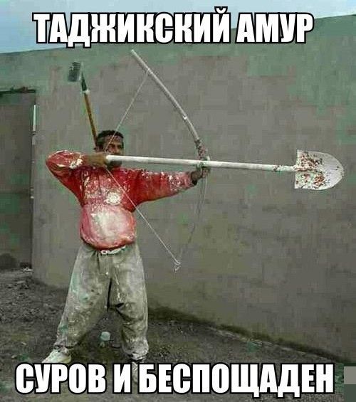 Прикольные картинки