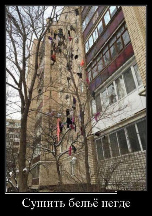 Демотиваторы