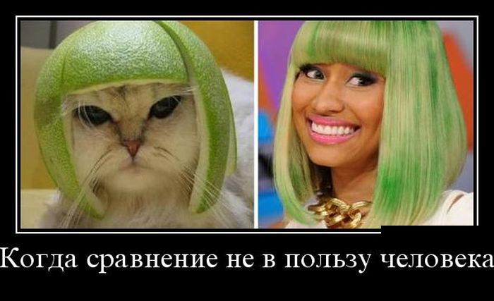 Демотиваторы